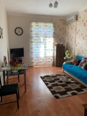 Гостиница Apartment Niyazi 5  Баку